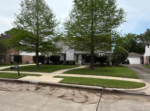 Ben R.'s Tree Trimming service result