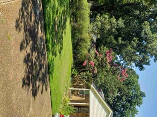 Theresa M.'s grass cutting service result