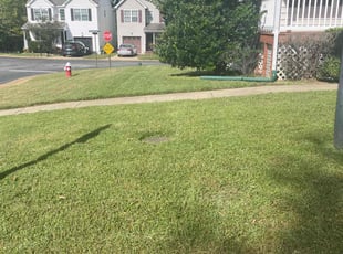 Tyler Y.'s grass cutting service result