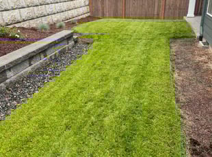 Eve L.'s turf maintenance service result
