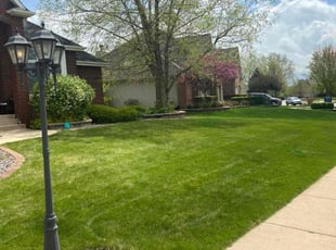 Jamalee O.'s lawn service service result