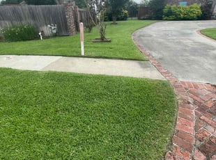 Tiffany B.'s lawn care services service result