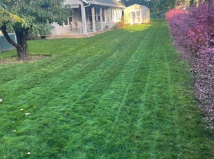 Elizabeth B.'s lawn care services service result
