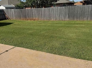 Elizabeth R.'s lawn maintenance service result
