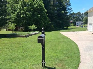 Robert G.'s grass cutting service result