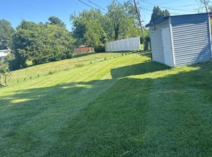 Maria J.'s lawn care services service result