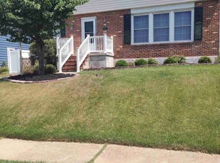 Christen D.'s turf maintenance service result