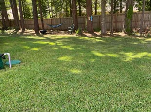 Tonya K.'s turf maintenance service result