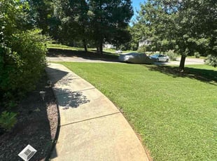 Shriprasad T.'s turf care service result