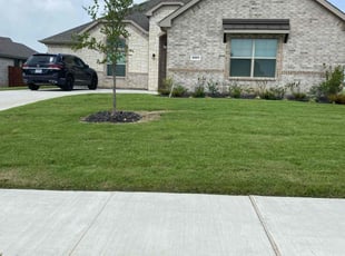 Bernard B.'s turf care service result