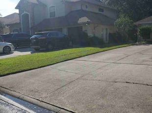 Stephen A.'s grass maintenance service result