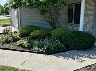 Sara S.'s Bush Trimming service result