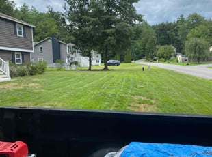 Sai K.'s lawn care services service result