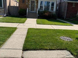 Craig T.'s grass cutting service result