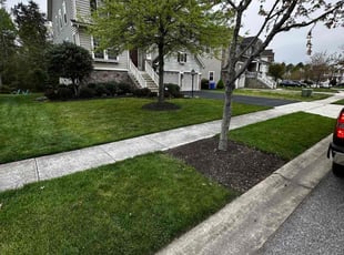 Laura R.'s Leaf Removal service result