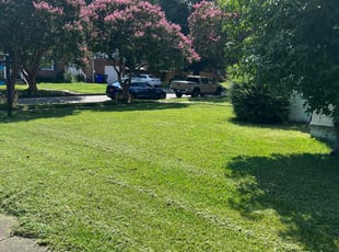 William F.'s lawn care services service result