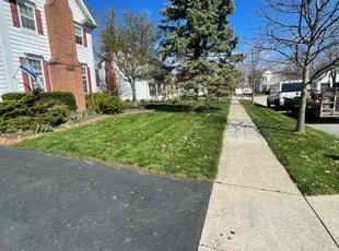 Hyun P.'s turf maintenance service result