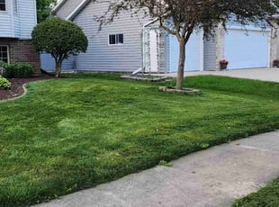Ruth L.'s turf care service result