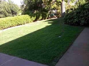 Billie D.'s lawn maintenance service result