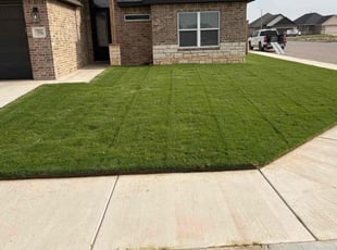 Matthew D.'s lawn care services service result