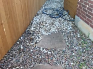 Chris T.'s Leaf Removal service result