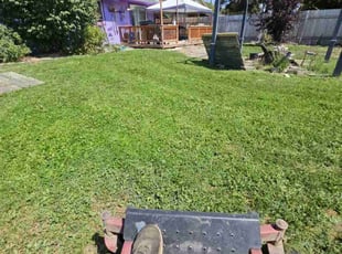 Jane L.'s lawn maintenance service result