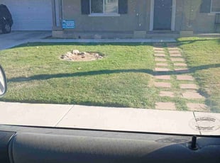 Brenda J.'s lawn care services service result