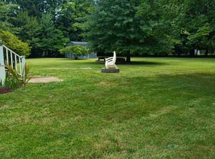 LaShonda P.'s lawn maintenance service result