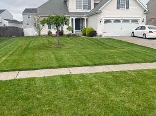 Abbey J.'s lawn care service result