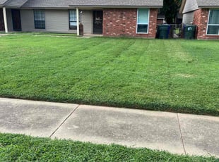 Ricky A.'s lawn service service result
