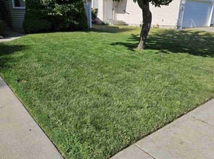 Trent C.'s lawn service service result