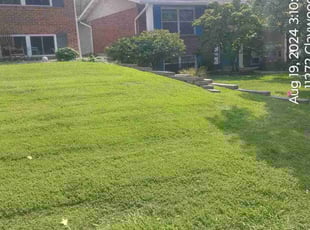 Daniel P.'s lawn maintenance service result