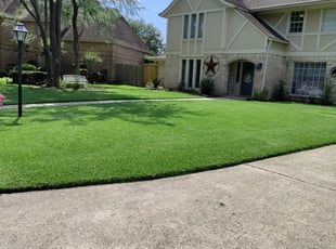 Sandy C.'s grass maintenance service result
