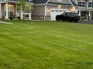 Marisol R.'s turf care service result