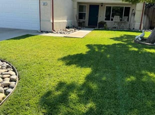 Marlu O.'s yard work service result