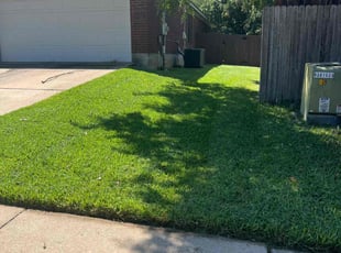 Tracy S.'s lawn maintenance service result