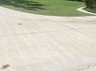 Andrew H.'s turf care service result