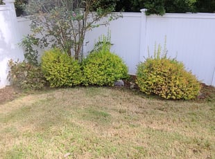 Stacy V.'s Flower Bed Weeding service result