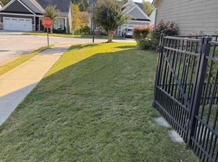 James M.'s lawn service service result