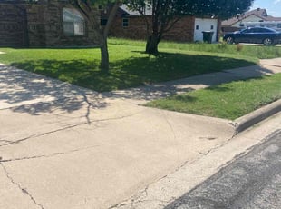 David R.'s grass cutting service result