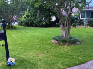 Delores F.'s lawn maintenance service result