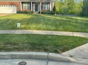 Angela J.'s grass maintenance service result