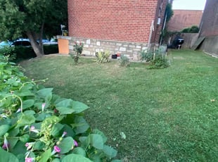 James c.'s grass maintenance service result