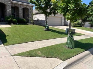 Carnette L.'s turf care service result