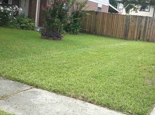 Ricky P.'s grass maintenance service result