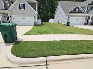 Vicki T.'s lawn maintenance service result