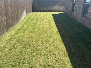 Barb D.'s lawn care services service result