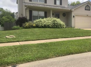 Vernell M.'s grass cutting service result