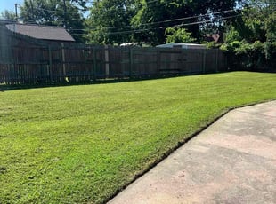 Mohammed S.'s turf care service result