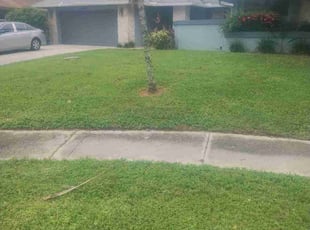 Bree C.'s lawn care services service result